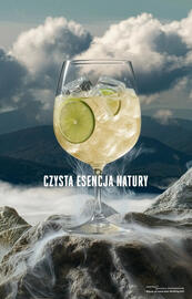 Biedronka gazetka | Alkohole Strona 1