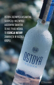 Biedronka gazetka | Alkohole Strona 4