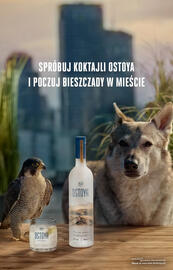 Biedronka gazetka | Alkohole Strona 6