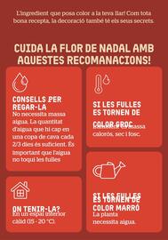 Folleto BonpreuEsclat Página 61