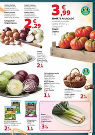 Folleto Alcampo Página 29