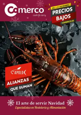 Folleto Comerco Cash & Carry (válido hasta el 31-12)