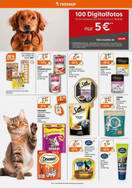 Müller DE folder week 49 Pagina 10