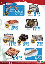 Folleto Economy Cash Página 10