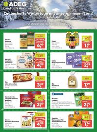 ADEG Flugblatt Seite 1