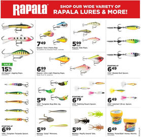 Mills Fleet Farm weekly ad Page 13