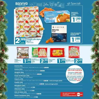 Volantino BluVivo (valido fino al 18-12)
