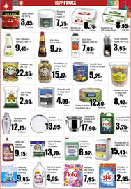 Folleto FROIZ Página 13