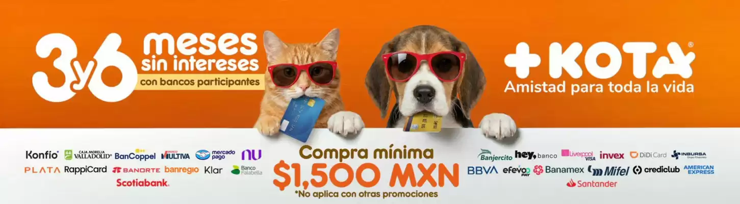 Catálogo Maskota (válido hasta 31-12)