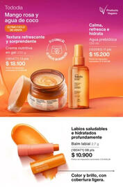 Catálogo Natura Página 185