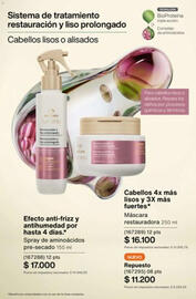 Catálogo Natura Página 237