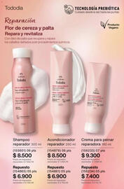 Catálogo Natura Página 254