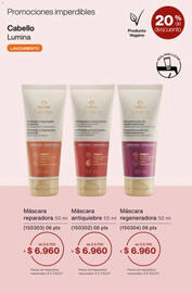 Catálogo Natura Página 41