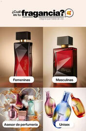 Catálogo Natura Página 59