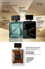 Catálogo Natura Página 66