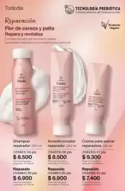 Catálogo Natura Página 254