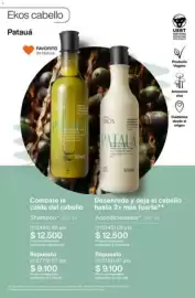 Catálogo Natura Página 258