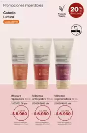 Catálogo Natura Página 41