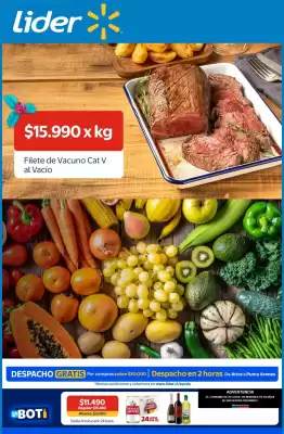 Catálogo Lider (válido hasta 10-12)