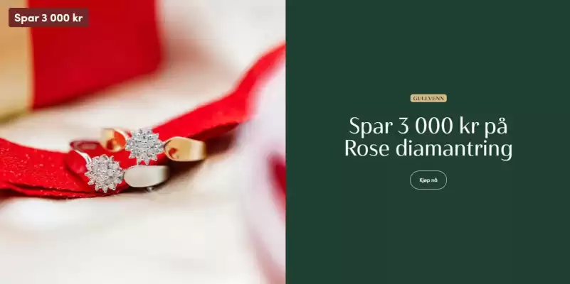 Gullfunn kundeavis (gyldig til 10-12)