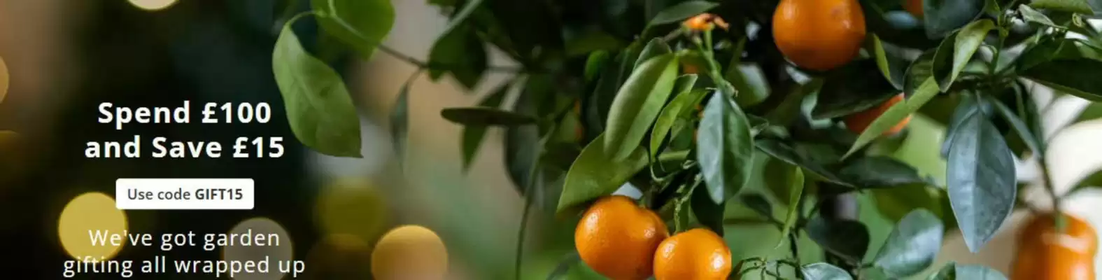 Crocus leaflet (valid until 23-12)