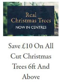 Hillier leaflet Page 1