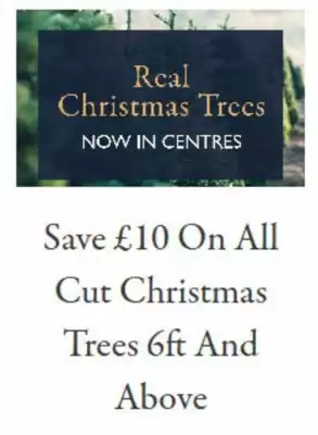 Hillier leaflet (valid until 29-12)