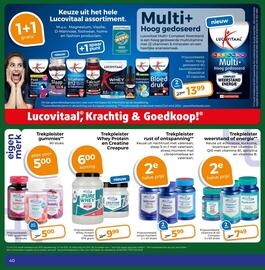 Trekpleister folder Pagina 40