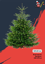 Catalog Brico Depôt Pagină 9