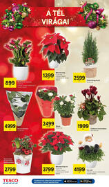 Tesco akciós újság hét 49 Oldal 40