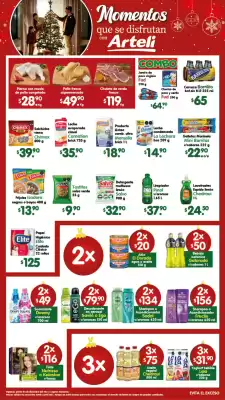 Folleto Arteli (válido hasta 4-12)
