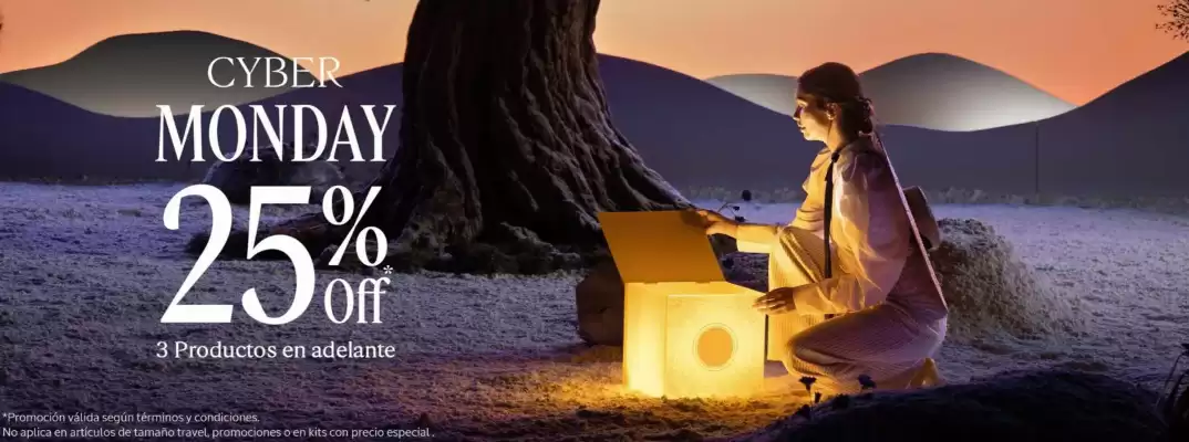 Catálogo L'Occitane (válido hasta 7-12)