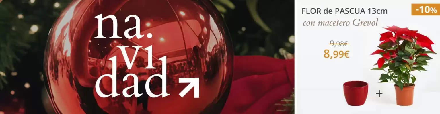 Catálogo Verdecora (válido hasta el 16-12)