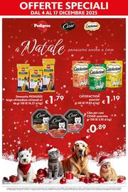 Volantino Maxi Supermercati Pagina 13