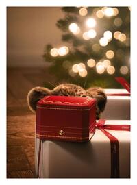 Catálogo El Palacio de Hierro Página 2