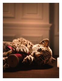 Catálogo El Palacio de Hierro Página 8