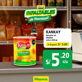 Catálogo Mayorsa semana 49 Página 5