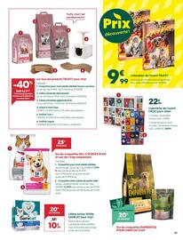 Catalogue Truffaut page 7