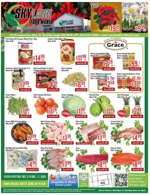 Skyland Foodmart flyer (valid until 12-12)