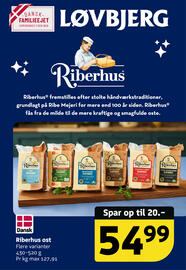 Løvbjerg tilbudsavis uge 49 Side 35