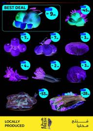 Union Coop catalogue Page 2