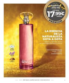 Catálogo Cristian Lay Página 13