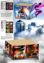 Lesli Feuerwerk Prospekt Seite 100