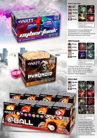 Lesli Feuerwerk Prospekt Seite 101