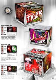 Lesli Feuerwerk Prospekt Seite 104