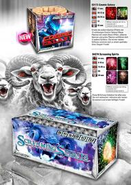 Lesli Feuerwerk Prospekt Seite 113