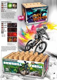 Lesli Feuerwerk Prospekt Seite 116