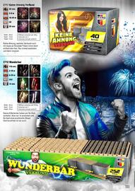 Lesli Feuerwerk Prospekt Seite 118