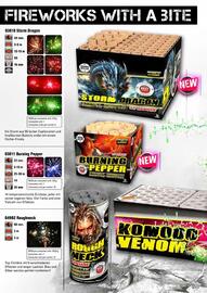 Lesli Feuerwerk Prospekt Seite 120