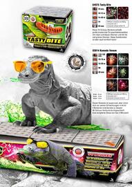 Lesli Feuerwerk Prospekt Seite 121